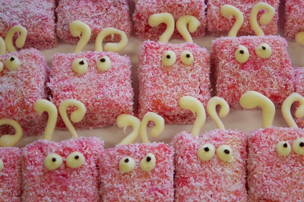 15 - 5 - 14 OWLS Pink Ribbon Morning Tea 03